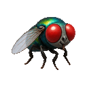 Moving fly animated emoji
