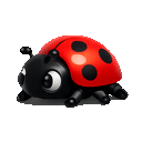 Ladybug scurrying