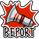 Report