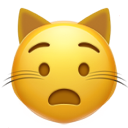 Anguished Cat emoji