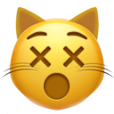 Dizzy Cat emoji