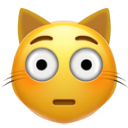 Flushed Cat emoji