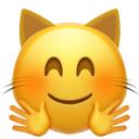 Hugging Cat