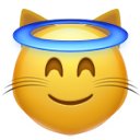 Innocent Cat