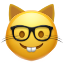 Nerd Cat