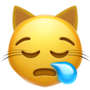 Sleepy Cat emoji