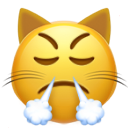 Triumph Cat emoji