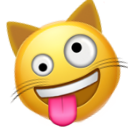 Zany Cat