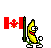 Dancing Banana Canada
