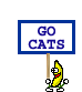 Dancing Banana Go Cats