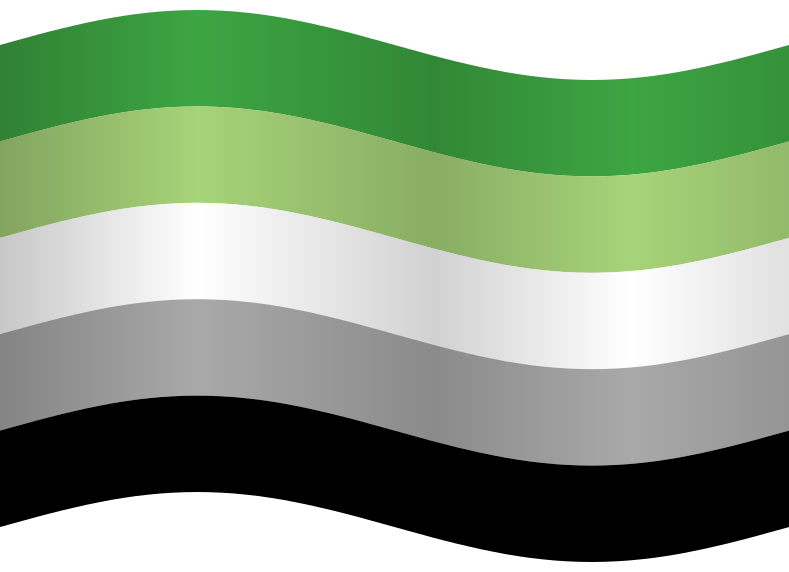 Aromantic Flag emoji