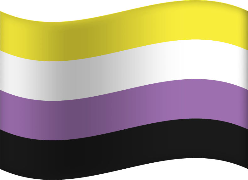 Non Binary Flag