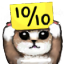 Cat 10/10