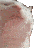 Cat jam animated emoji