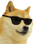 Cool doge