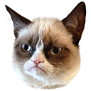 Grumby cat