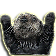 Otter bliz