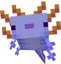 Axolotl