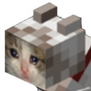 Sad Cat
