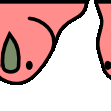 Aussiereversecongaparrot emoji