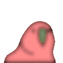 Blurryparrot