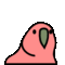 Boomparrot