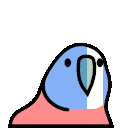 Braveheartparrot