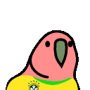 Brazilianplayerparrot