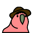 Chicoparrot