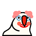 Clownparrot