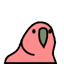 Confusedparrot