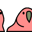 Congaparrot