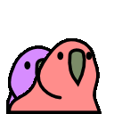 Fasttwinsparrot