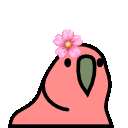 Flowerparrot