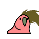 Headbangingparrot