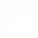 Invisibleparrot