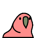 Jumpingparrot