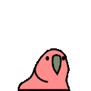 Jumpingparrotjr