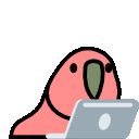 Laptop_parrot