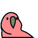 Levitationparrot