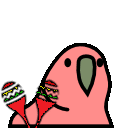 Maracasparrot