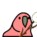 Marshmallowparrot