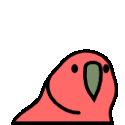 Playcatchleftparrot