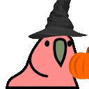 Pumpkinparrot