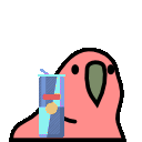 Redbullparrot