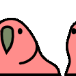 Reversecongaparrot