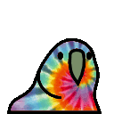 Tiedyeparrot