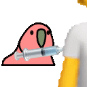 Vaccineparrot