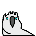 Whitewalkerparrot