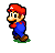 Mario Flower